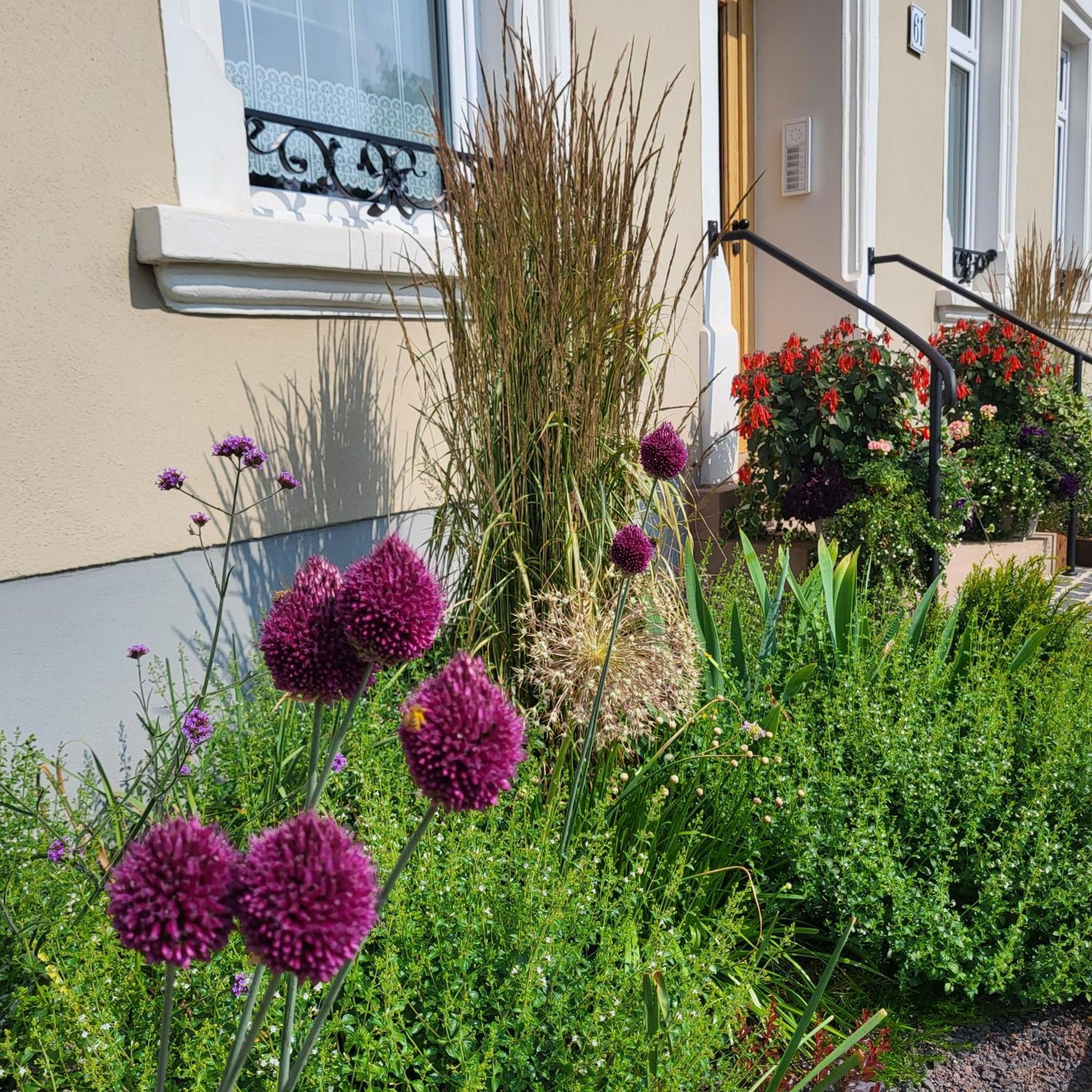 Komfort Ferienwohnungen Mit Wellness-Garten - Gaestehaus Am Bachlauf - Losheim Am See Exterior photo