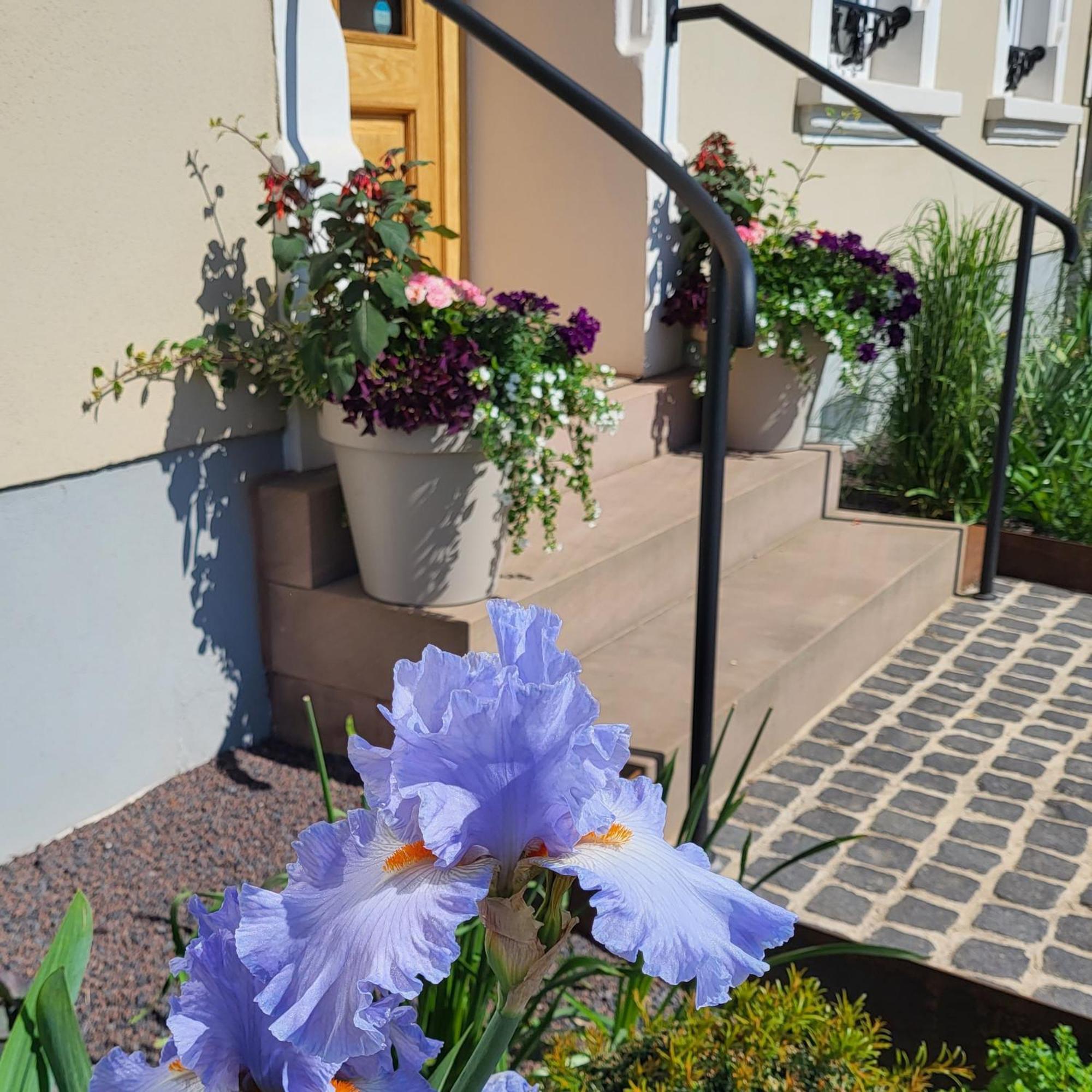 Komfort Ferienwohnungen Mit Wellness-Garten - Gaestehaus Am Bachlauf - Losheim Am See Room photo