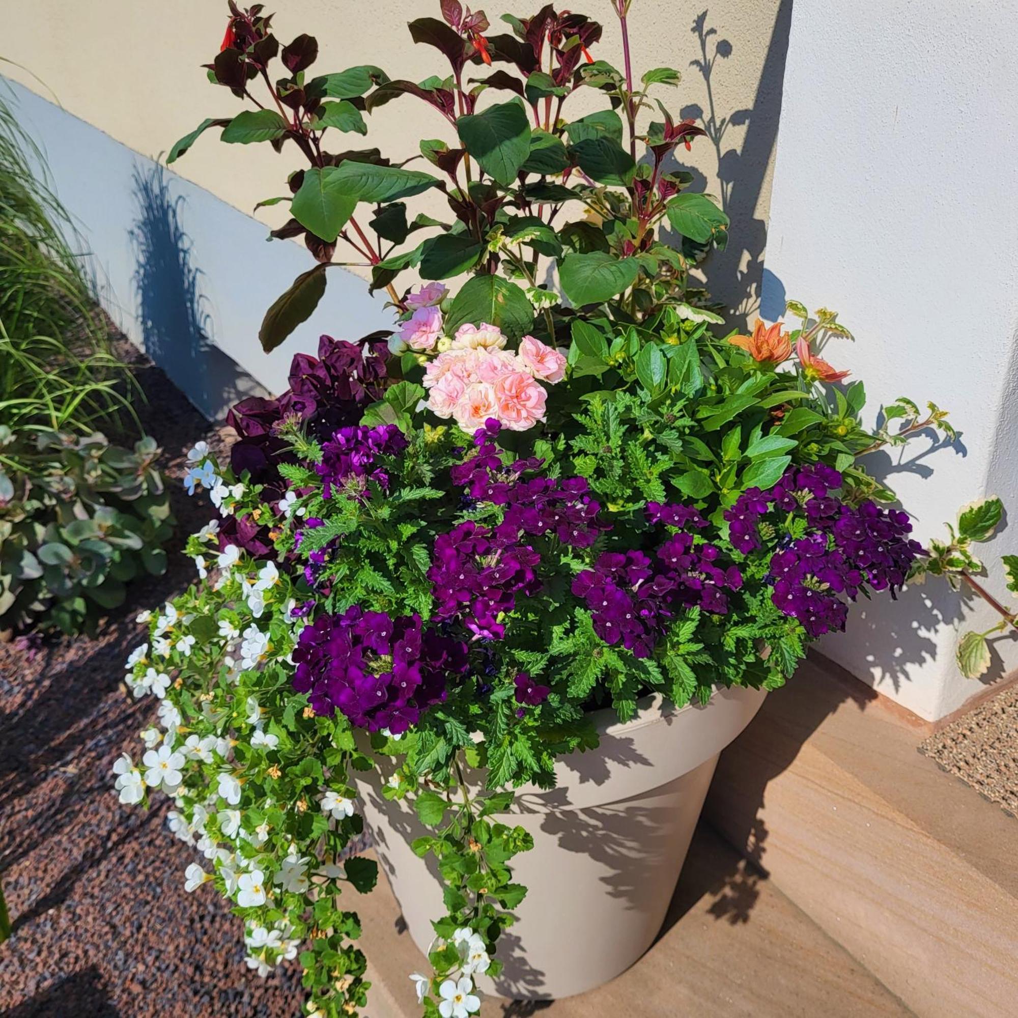 Komfort Ferienwohnungen Mit Wellness-Garten - Gaestehaus Am Bachlauf - Losheim Am See Room photo